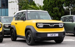 Hãng xe số 1 thế giới thắng ở Thái Lan đến Việt Nam đụng 'bức tường thành"