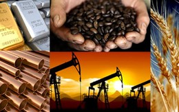 Thị trường ngày 12/9: Giá dầu thô Mỹ tăng hơn 2 USD/thùng, cà phê robusta cao nhất gần 16 năm