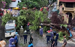 Hà Nội miễn giảm thuế cho người bị ảnh hưởng của bão Yagi