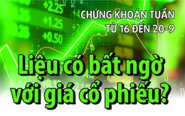 Chứng khoán tuần tới (từ 16 đến 20-9): Liệu có bất ngờ với giá cổ phiếu?