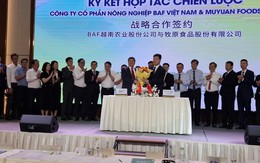 BAF của ông Trương Sỹ Bá bắt tay với công ty Trung Quốc sở hữu “toà nhà nuôi heo 6 tầng” hiện đại nhất thế giới, kỳ vọng tiết kiệm 4 lần chi phí đất đai