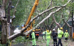 Trải nghiệm của du học sinh Việt Nam khi bão Bebinca tấn công Thượng Hải: Bầu trời chuyển sang màu hồng một cách kỳ lạ, liên tục nhận tin nhắn cảnh báo vì cơn bão gần trăm năm mới có một lần