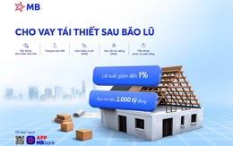 MB hỗ trợ vay 2000 tỷ tái thiết sau bão lũ