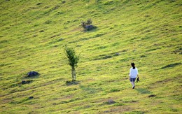 Nơi được ví như thảo nguyên nước ngoài ở Nghệ An, cách thành phố chỉ hơn 10km, vừa hoang dã vừa thơ mộng