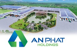 Công ty mẹ An Phát Holdings báo lỗ ròng 40,2 tỷ đồng trong 6 tháng đầu năm 2024