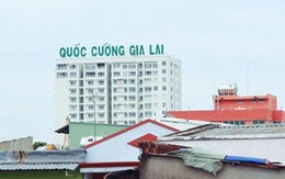 Cổ phiếu Quốc Cường Gia Lai (QCG) “tím lịm” trong phiên VN-Index gặp khó