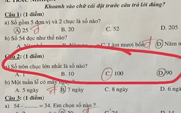 Bài toán tiểu học khiến phụ huynh cũng phải 'đứng hình'