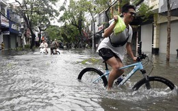 Sau bão, Hải Phòng vẫn ngập sâu, cây xanh đổ la liệt, nhiều nơi mất điện