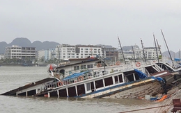 Hàng chục tàu du lịch ở Tuần Châu bị chìm trong bão dữ Yagi, thiệt hại hàng tỉ đồng