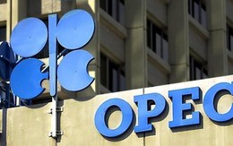 OPEC+ cần cắt giảm hoàn toàn sản lượng để cứu giá dầu thô