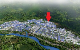 Một tỉnh sắp có nhà máy 71.000 m2 sản xuất mặt hàng Việt Nam top 1 TG, “ông lớn” đầu tư 2.000 tỷ là ai?