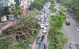 Đường phố Hà Nội vẫn ngổn ngang cây đổ, người dân 'vượt ải' ùn tắc đến công sở