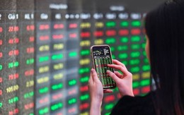 Chứng khoán có một tuần “loạn nhịp”: cổ phiếu VNG giảm mạnh, cổ phiếu QCG tím lịm