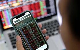 Cổ phiếu 'đắt' nhất sàn chứng khoán diễn biến tiêu cực