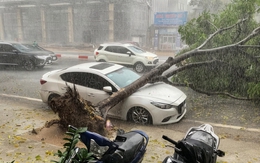 Ngày mai, miền Bắc có mưa rất to