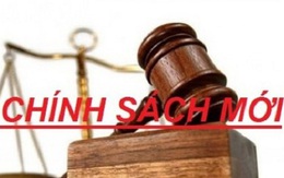 Chính sách mới có hiệu lực từ tháng 1/2025