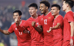 Giá tour, vé máy bay đi khuyến mãi 789bet xem tuyển Việt Nam trận chung kết ASEAN Cup 2024 bao nhiêu?