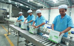 Thu nhập Chủ tịch công ty bán gần 12.000 tỷ nguyên liệu cho Vinamilk, Masan, Trung Nguyên có thể lên tới hơn 5,7 tỷ đồng trong năm 2025