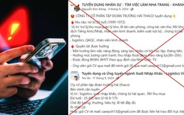 THACO của tỷ phú Trần Bá Dương cảnh báo tình trạng mạo danh tập đoàn để 789bet hoangsa.net