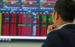 SHS: Chứng khoán sẽ có một nhịp điều chỉnh mạnh 15-20% trước khi tăng trưởng ổn định trong năm nay