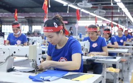 TNG báo lãi cao nhất lịch sử: 315 tỷ đồng trong năm 2024, tăng 44%