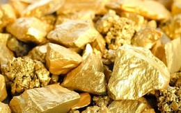 Một công ty lập kỷ lục 10 789bet hoangsa.net, lợi nhuận 2024 tăng 230%