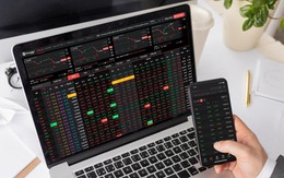 DNSE tăng doanh thu 12%, đạt 1 triệu tài khoản chứng khoán năm 2024