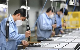 Nhiều doanh nghiệp Nhật Bản muốn mở rộng đầu tư