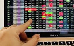 Cổ phiếu LPB, YEG tiếp tục được “gom” mạnh,  VN-Index rơi về sát mốc 1.240 điểm