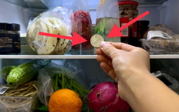 Bỏ 1 đồng xu vào tủ lạnh trước khi về quê ăn Tết: Hành động đơn giản nhưng có thể bảo vệ bạn