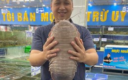 Các nhà khoa học quốc tế bất ngờ tìm thấy một loài bọ 789bet có uy tín không siêu khổng lồ, hoàn toàn mới ở Việt Nam, nhưng không phải dưới đáy 789bet có uy tín không, mà trong nhà hàng hải sản