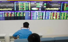 ‘Tuýt còi’ doanh nghiệp liên quan nữ chủ tịch công ty chứng khoán