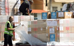 Ông Trump có thể cân nhắc tái tham gia Tổ chức Y tế Thế giới