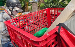 Bất ngờ với số đơn hàng giao mỗi ngày trong ngày cận Tết
