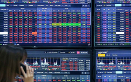 'Siêu' cổ phiếu sinh lời nhanh, dễ bùng nổ: Có nên đầu tư?