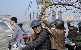 Tiểu thương "chạy hàng" trước thềm giao thừa, cây cảnh giá rẻ phủ khắp Hà Nội chiều 29 789bet