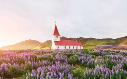 Iceland: Hạnh phúc là không ai bị bỏ lại phía sau và sống tích cực