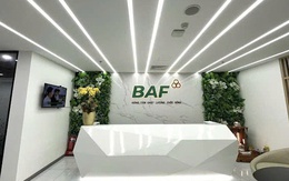 Baf Việt Nam nhận chuyển nhượng 70% vốn góp một doanh nghiệp tại Gia Lai