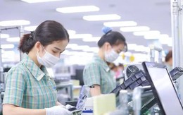 Hơn 170 dự án FDI ngành bán dẫn đăng ký đầu tư ở Việt Nam