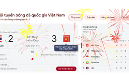 Việt Nam vô địch ASEAN Cup 2024, Google "đi bão" theo cách đặc biệt