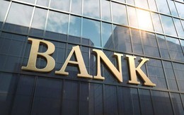 Cập nhật KQKD ngân hàng 2024: Agribank lãi kỷ lục, ACB tăng trưởng tín dụng vượt trội, nhà băng đầu tiên báo lỗ