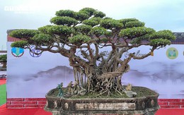 Chiêm ngưỡng ‘siêu khuyến mãi 789bet’ của nghệ nhân Hà Nội, trả bao nhiêu tiền cũng không bán