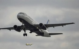 Phát hiện hai thi thể trong khoang bánh đáp của máy 789bet JetBlue tại Mỹ