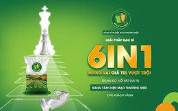 Một doanh nghiệp giới thiệu giải pháp 789bet lừa đảo 6IN1 đột phá