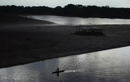 “Sông bay” Amazon suy yếu do mất rừng, nguy cơ hạn hán ngày càng trầm trọng