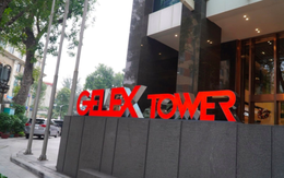 Mẹ của Tổng giám đốc Gelex đăng kí mua 12 triệu cổ phiếu GEX