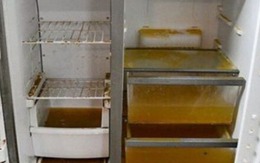 Ngay khi nước rút: 12 bước dọn dẹp và khử trùng cho nhà ngập để tránh mùi ẩm mốc, vi khuẩn và bệnh tật