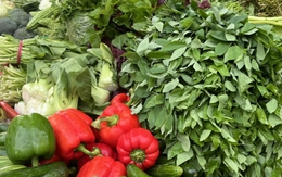 Giá rau xanh ở Hà Nội ‘nhảy múa’, đắt gấp đôi sau bão Bualoi