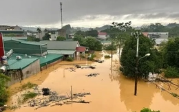 Khẩn trương báo cáo, bồi thường bảo hiểm thiệt hại bão số 10