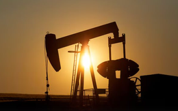 Buồn của dầu Nga: Loạt khách hàng tuyên bố tiếp tục mua hàng, xuất khẩu phá kỷ lục 16 tháng nhưng doanh thu lao dốc, chuyện gì đang xảy ra?